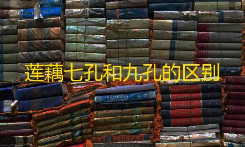 暗区突围加速插件莲藕七孔和九孔的区别